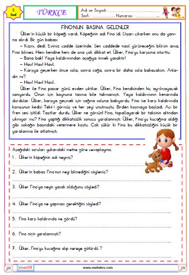 2. Sınıf Türkçe Okuma ve Anlama Etkinliği ( Fino'nun Başına Gelenler )